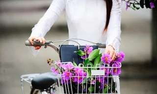 Chia tay nhé, bằng lăng ơi…