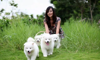 Chăm sóc thú cưng - Nghề mới của bạn trẻ yêu động vật