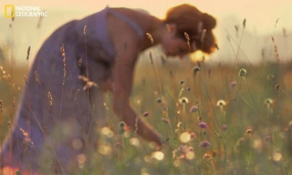 Những bức ảnh làm bạn yêu đời hơn