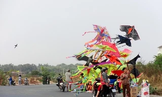 Chơi diều ở làng đại học