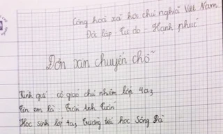 Đơn xin chuyển chỗ gần 'người yêu' của học sinh lớp 4