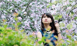 Vương vấn mùa hoa trắng tháng ba