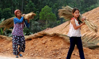 Hàng trăm học sinh chưa đến lớp sau Tết