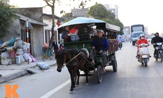 Đối với người dân nơi đây, việc các em được đưa đón đến trường bằng xe ngựa đã quá quen thuộc