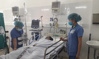 Hai người chết, một nguy kịch nghi do ngộ độc