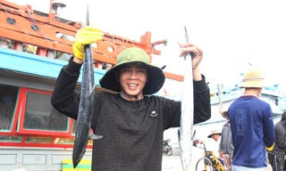 Nụ cười sau chuyến biển cuối năm của ngư dân miền Trung