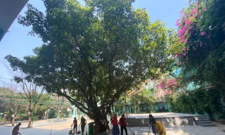 Đà Nẵng tất bật vệ sinh, khử trùng trường lớp đón học sinh