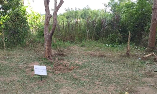 Nổ lớn trong vườn, một người đàn ông tử vong