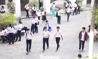 Rôm rả bàn tán chuyện Đà Nẵng bỏ Ngoại ngữ kỳ thi lớp 10