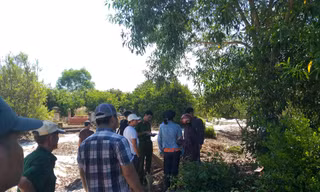 Giám đốc Trung tâm Văn hóa tỉnh Quảng Nam chết trong tư thế treo cổ 