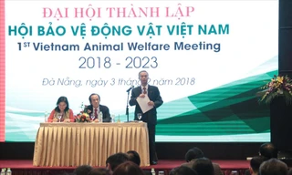 Hội Bảo vệ động vật Việt Nam ra mắt tại Đà Nẵng