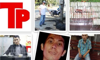 Bản tin Hình sự 18H: Nổ súng bắt kẻ vận chuyển gần trăm bánh heroin