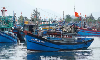 Đà Nẵng xử phạt vi phạm IUU gần 10 tỷ đồng, tước nhiều chứng chỉ thuyền trưởng