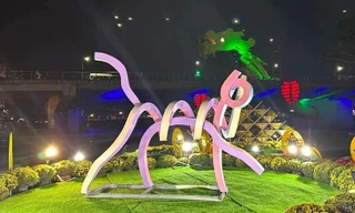 Linh vật mèo tại Đà Nẵng bị nhà thiết kế Hàn Quốc tố đạo ý tưởng 