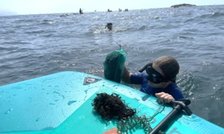 Hàng ngàn bạn trẻ nhặt rác, lặn biển giải cứu san hô Sơn Trà