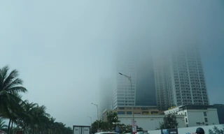Sương mù giăng khắp đường ven biển, Đà Nẵng hóa thành Đà Lạt 