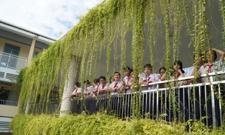 Ngắm trường học Đà Nẵng “chill” như quán cà phê