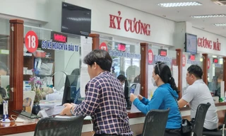 Vì sao doanh nghiệp 'đổ xô' cập nhật căn cước công dân gắn chíp?