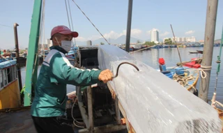 Bên trong cảng cá lớn nhất miền Trung sau hơn 2 tháng đóng cửa