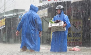 Bão Trà Mi: Người dân Đà Nẵng hạn chế ra khỏi nhà từ 10 giờ ngày 27/10