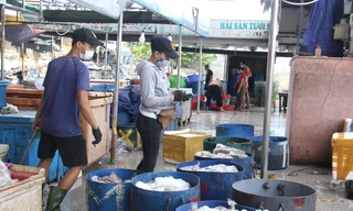 20 người buôn bán trong cảng cá Thọ Quang dương tính với SARS-CoV-2