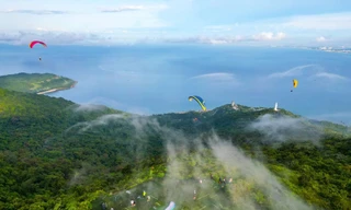 Giữ 'viên ngọc quý' Sơn Trà trước làn sóng du lịch 