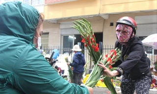Người dân Đà Nẵng giải cứu hàng ngàn bó hoa lay ơn