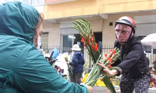Người dân Đà Nẵng giải cứu hàng ngàn bó hoa lay ơn