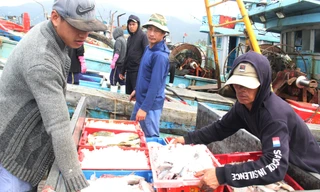 Tạm dừng hoạt động cảng cá lớn nhất miền Trung do liên quan 19 ca dương tính