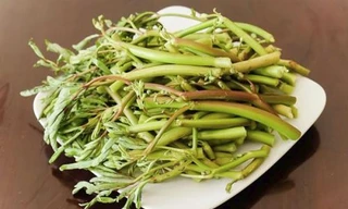 Ảnh minh hoạ: Internet