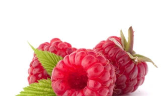 Ảnh minh hoạ: Internet