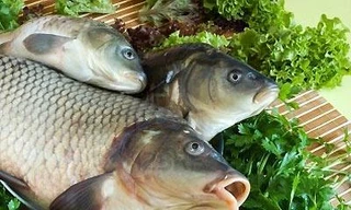 Ảnh minh họa: Internet