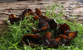 Ảnh minh hoạ: Internet