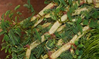 Ảnh minh hoạ: Internet