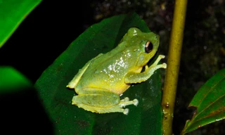 Ảnh minh hoạ: Internet