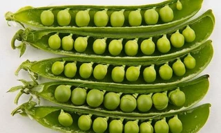 Ảnh minh họa: Internet