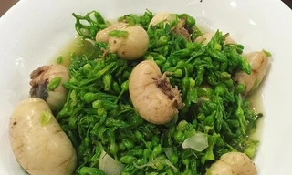 Ảnh minh hoạ: Internet