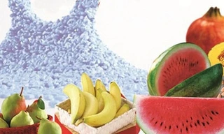 Ảnh minh hoạ: Internet