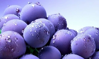 Ảnh minh hoạ: Internet