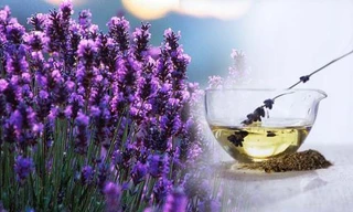 Ảnh minh họa: Internet