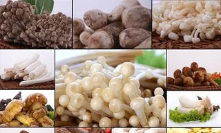 Ảnh minh hoạ: Internet