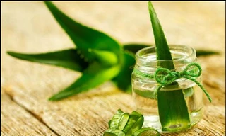 Ảnh minh hoạ: Internet