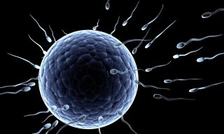 Ảnh minh hoạ: Internet