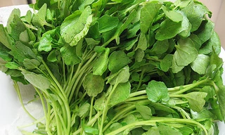 Ảnh minh hoạ: Internet