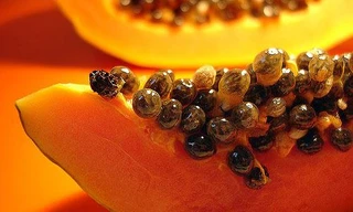 Ảnh minh hoạ: Internet