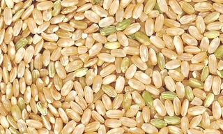 Ảnh minh hoạ: Internet