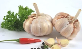 Ảnh minh họa: Internet