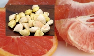 Ảnh minh hoạ: Internet