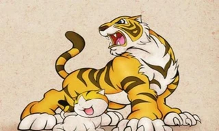 Ảnh minh hoạ: Internet