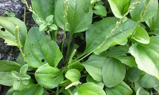 Ảnh minh hoạ: Internet